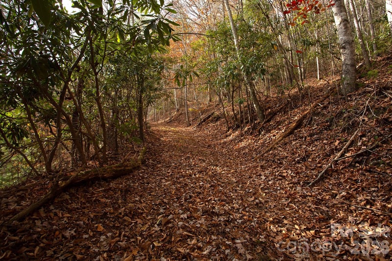 TBD Rector Branch Rd #4, Marshall, NC 28743