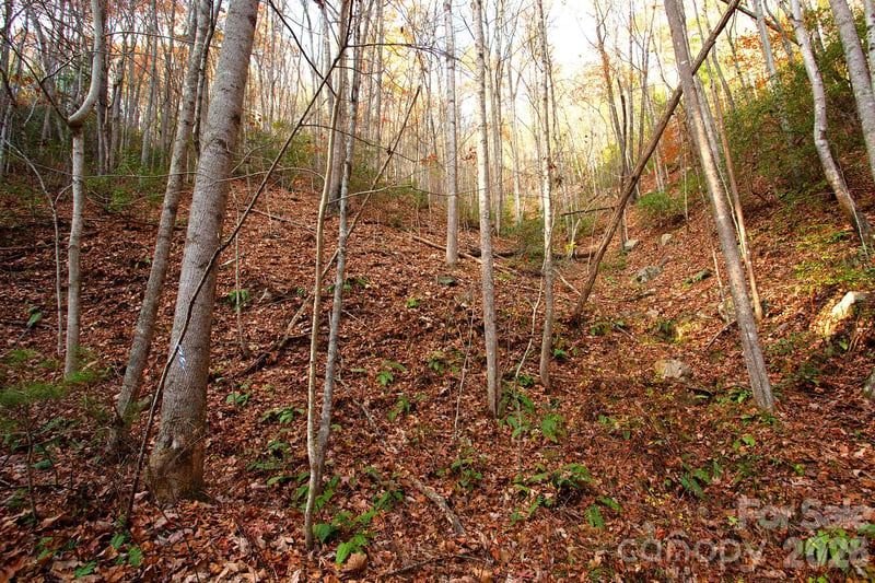 TBD Rector Branch Rd #4, Marshall, NC 28743