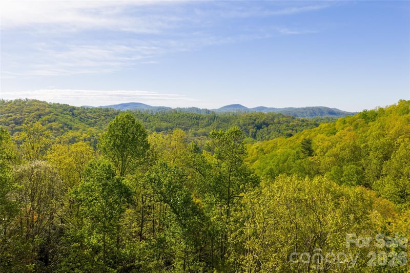 36 Snowshoe Dr, Asheville, NC 28803