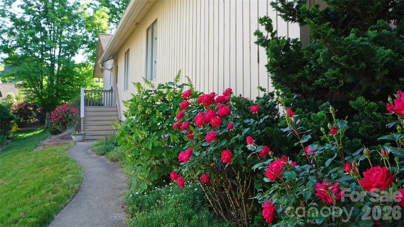 109 Clubwood Ct, Asheville, NC 28803