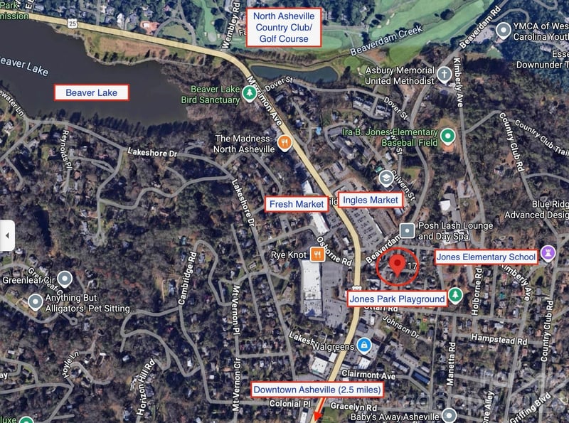 17 Irving St, Asheville, NC 28803