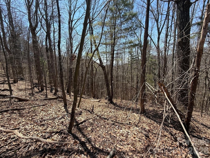 000 Granny Shepherd Rd Lot 2, Mars Hill, NC 2875497