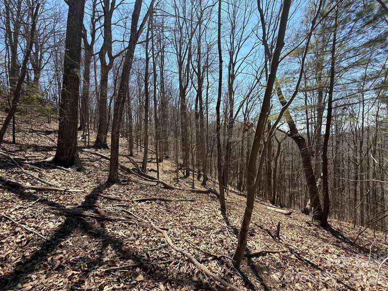 000 Granny Shepherd Rd Lot 2, Mars Hill, NC 2875497