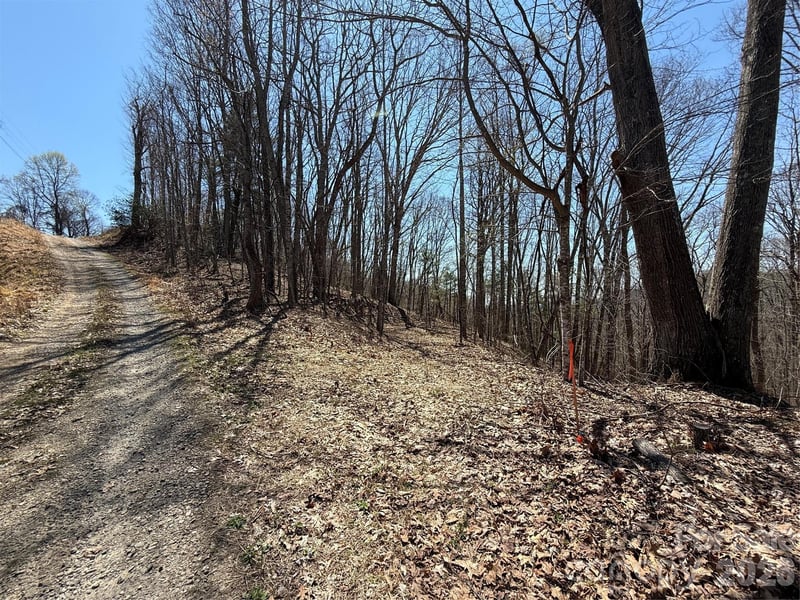 000 Granny Shepherd Rd lot 4, Mars Hill, NC 28754