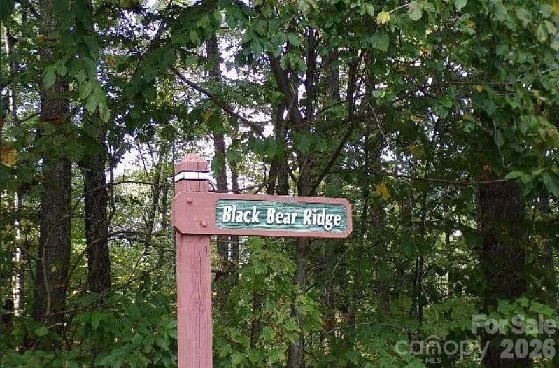 100 Black Bear Ridge Trl, Zirconia, NC 28790
