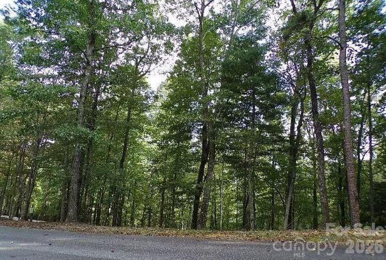 100 Black Bear Ridge Trl, Zirconia, NC 28790