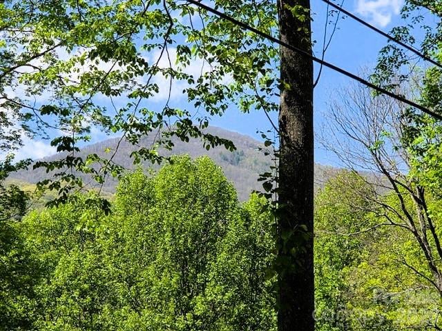191 Forest Dr, Maggie Valley, NC 28751