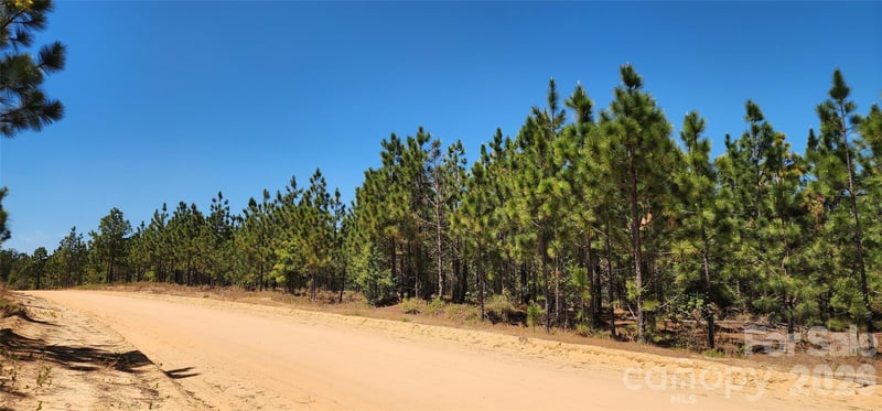 1050 Mcqueen Rd, Patrick, SC 29584