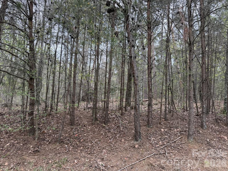 Whisper Lake Dr #120, New London, NC 28127