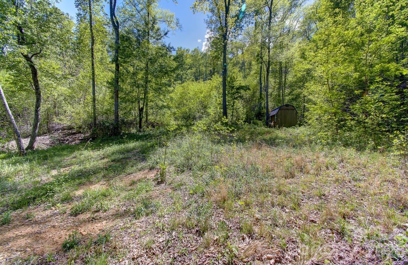 109 - 99999 Apgar Rd, Candler, NC 28715