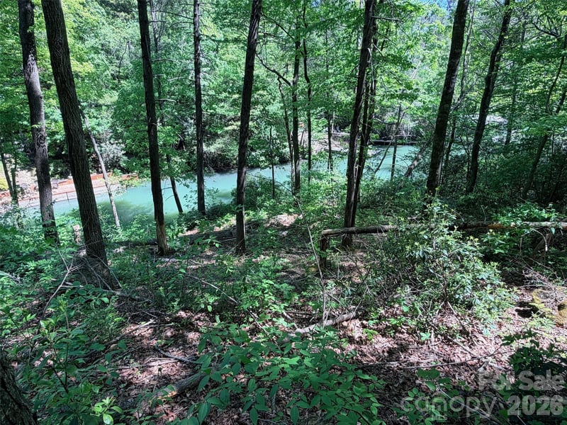 595 Quail Ridge Blvd, Lake Lure, NC 28746