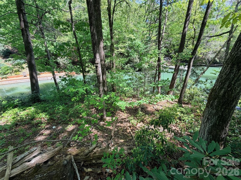 595 Quail Ridge Blvd, Lake Lure, NC 28746