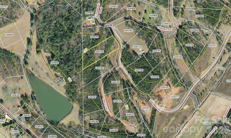 Vineyards Way #14, Lake Lure, NC 28746