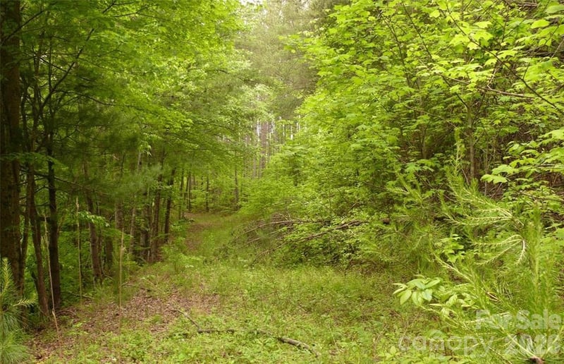 Vineyards Way #14, Lake Lure, NC 28746