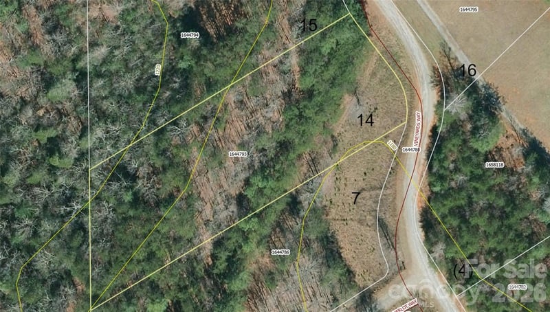 Vineyards Way #14, Lake Lure, NC 28746