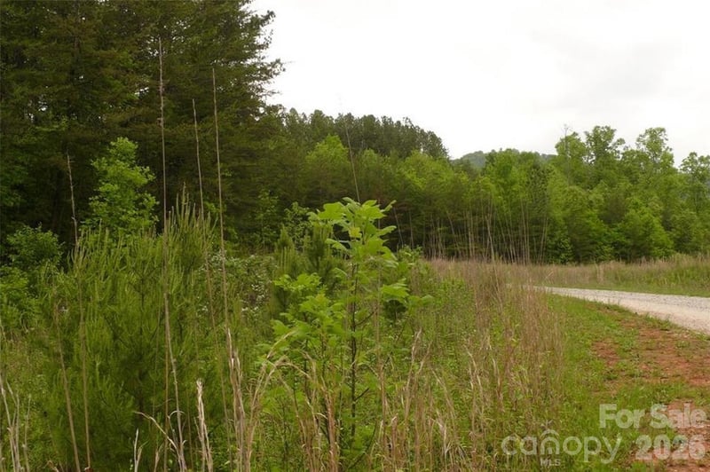 Vineyards Way #14, Lake Lure, NC 28746