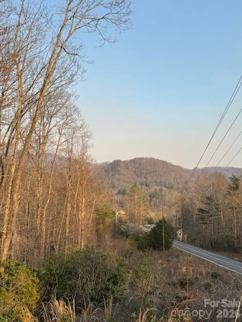 910 Morgan Hill Rd, Black Mountain, NC 28711