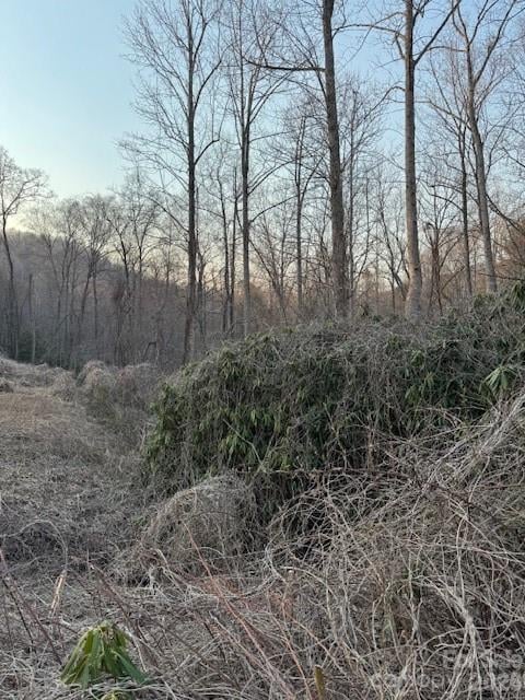 910 Morgan Hill Rd, Black Mountain, NC 28711