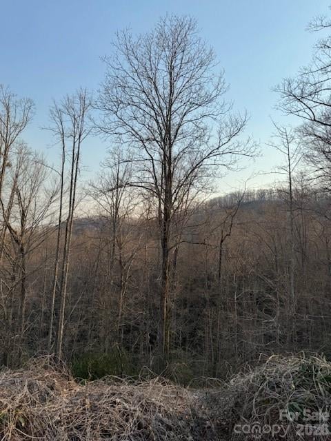 910 Morgan Hill Rd, Black Mountain, NC 28711