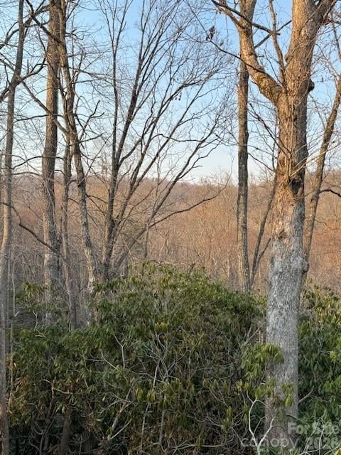 910 Morgan Hill Rd, Black Mountain, NC 28711