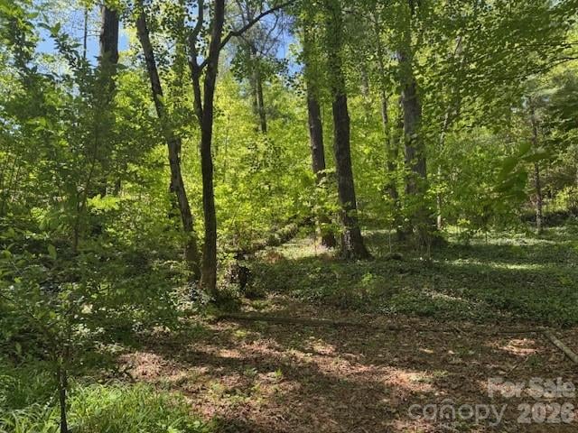 000 Skyline Dr #17, Hendersonville, NC 28791
