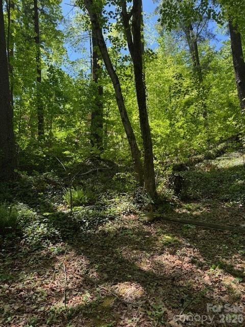 000 Skyline Dr #17, Hendersonville, NC 28791
