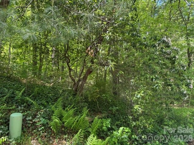 000 Skyline Dr #17, Hendersonville, NC 28791