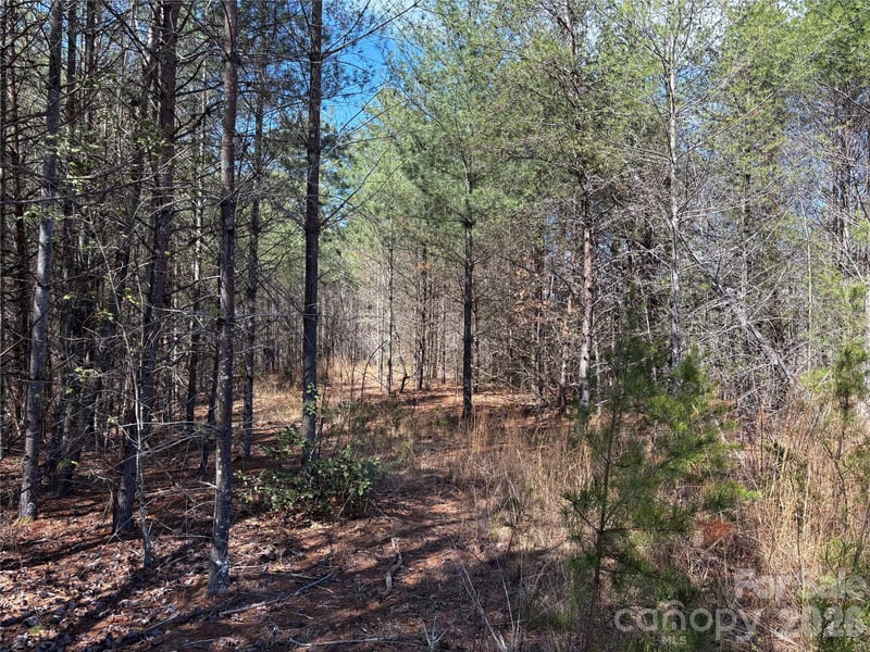 2042 Shadow Ridge Trl #G41, Lenoir, NC 28645