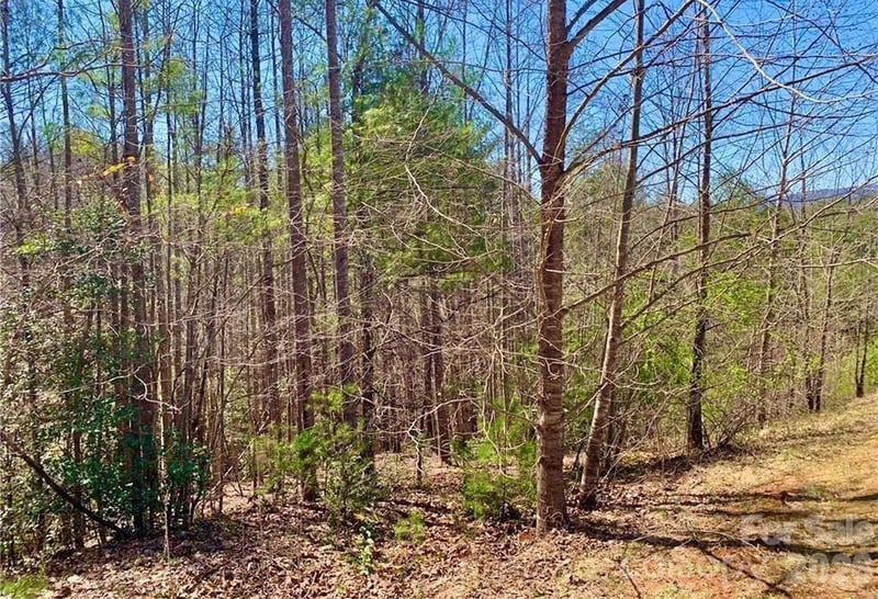 Lot 148 Rocky Falls Ln #148, Lenoir, NC 28645