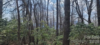 102 High Cliffs Trl, Black Mountain, NC 28711