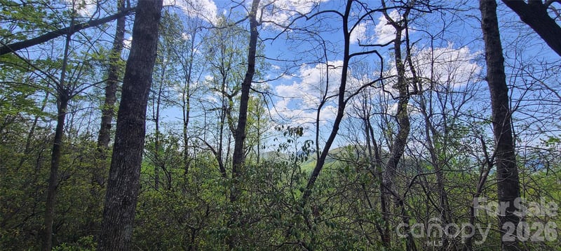 102 High Cliffs Trl, Black Mountain, NC 28711