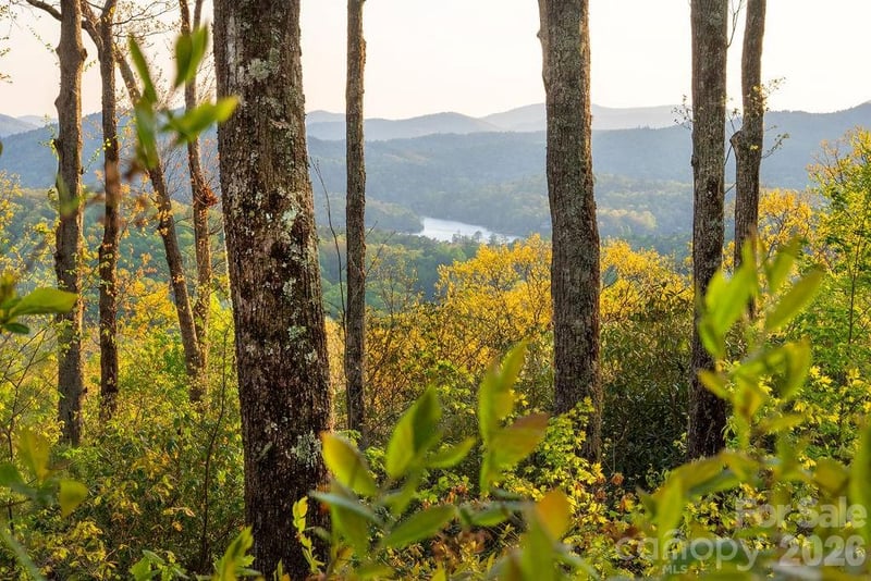 175 Skyview Rd #L-5, Lake Toxaway, NC 28747