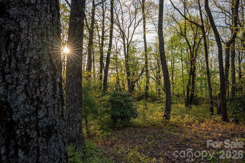 175 Skyview Rd #L-5, Lake Toxaway, NC 28747