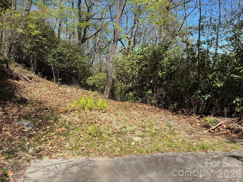 P 2 L020RV Toxaway Cliff #20, Lake Toxaway, NC 28747