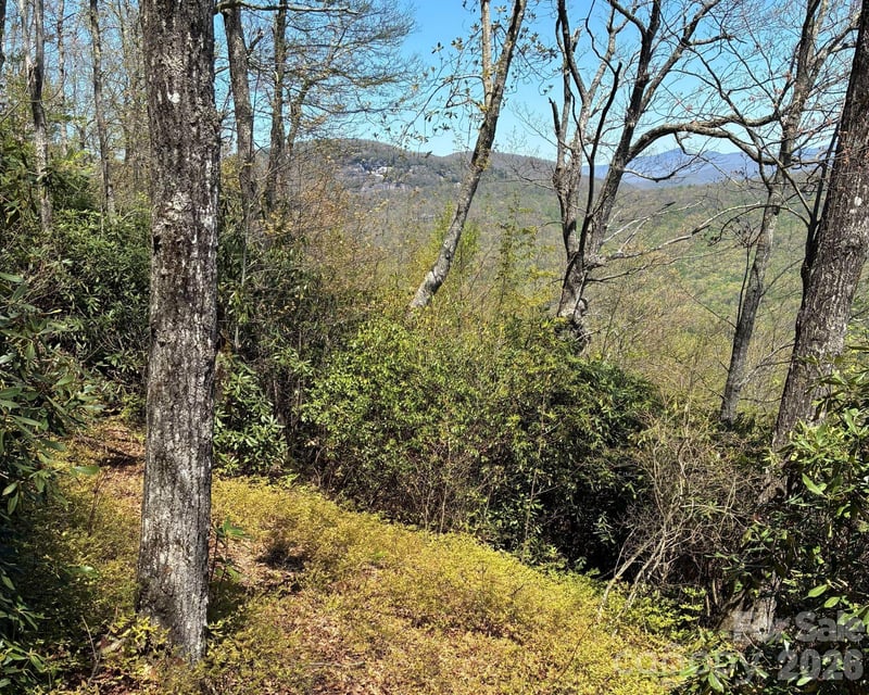 P 2 L020RV Toxaway Cliff #20, Lake Toxaway, NC 28747