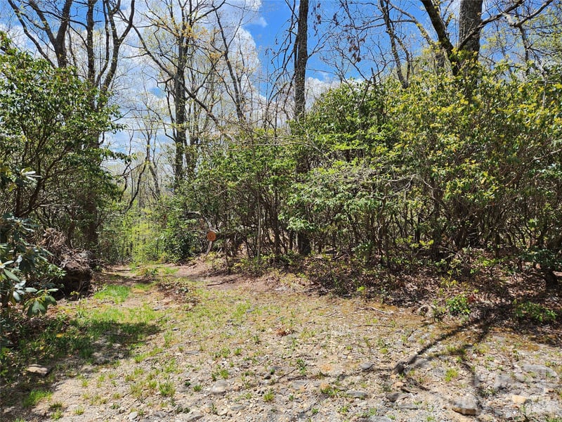 929 Pine Ridge Rd, Hendersonville, NC 28792