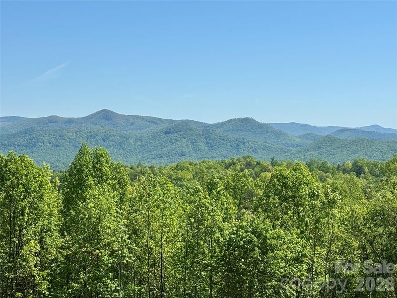 Doe Hallow Trl #218, Nebo, NC 28761