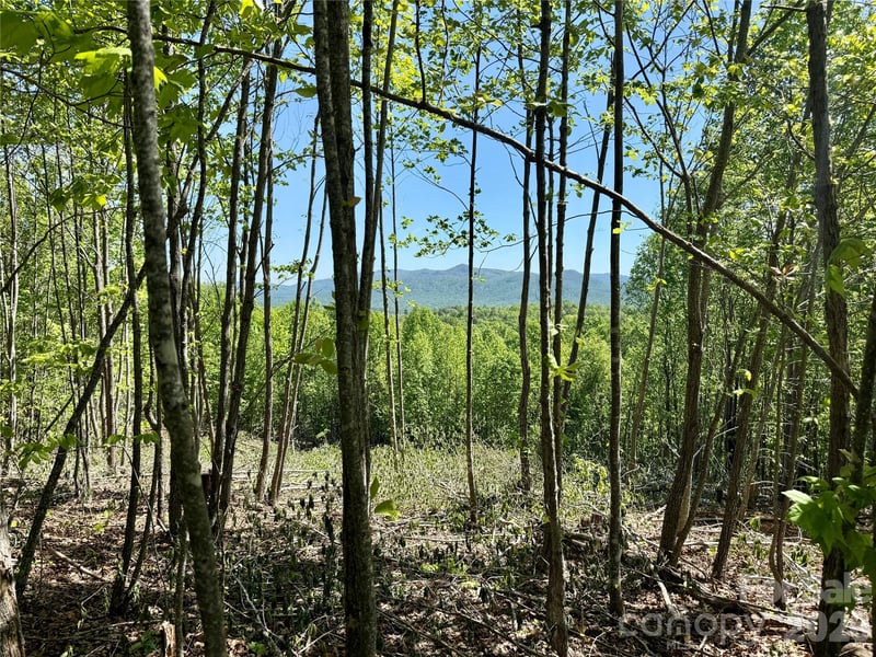 Doe Hallow Trl #218, Nebo, NC 28761