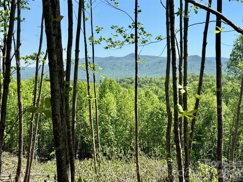 Doe Hallow Trl #218, Nebo, NC 28761