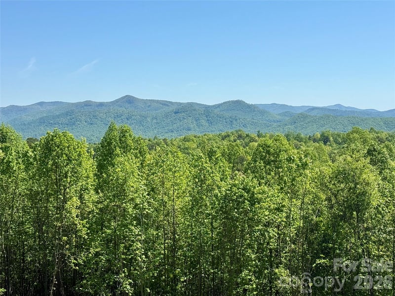 Doe Hallow Trl #218, Nebo, NC 28761