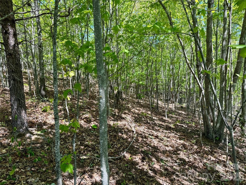 Doe Hallow Trl #218, Nebo, NC 28761