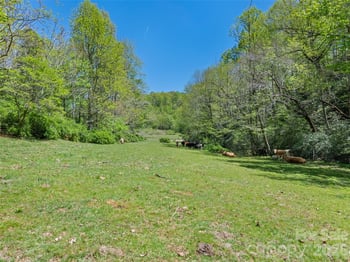 1372 Sand Branch Rd, Black Mountain, NC 28711