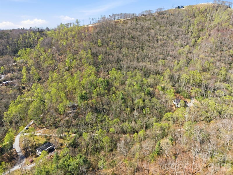 00 Lazy Bear Trl #35 & 36, Hendersonville, NC 28792