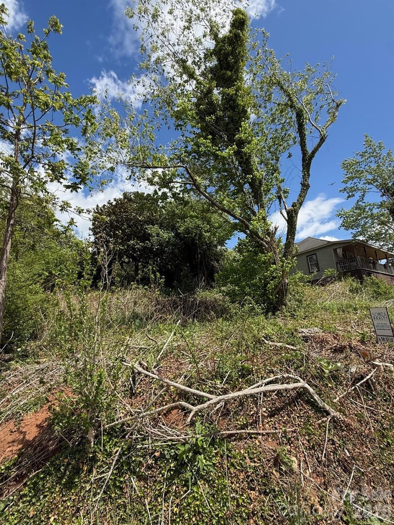 22 Clark Ln, Canton, NC 28716