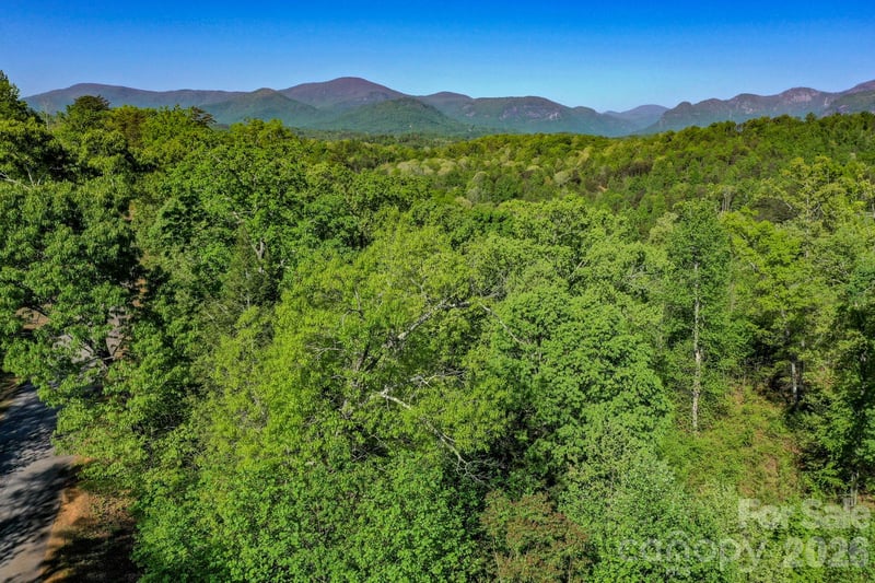 Willow Top Ln, Lake Lure, NC 28746