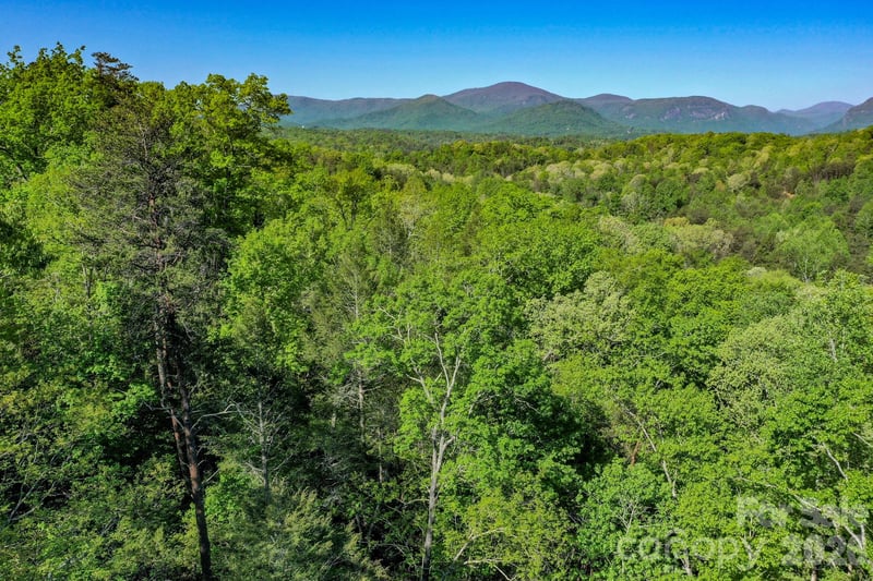 Willow Top Ln, Lake Lure, NC 28746