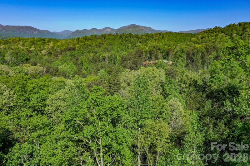 Willow Top Ln, Lake Lure, NC 28746