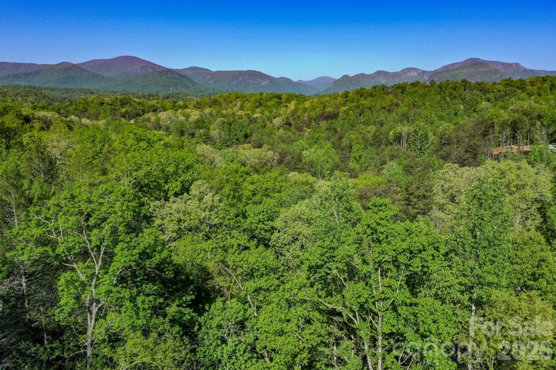 Willow Top Ln, Lake Lure, NC 28746