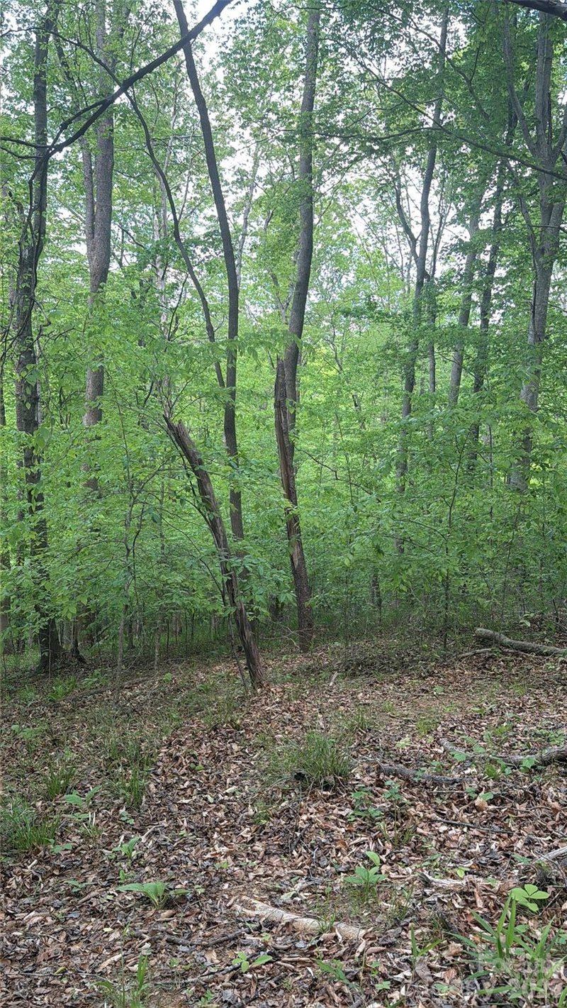 Overstone Dr #284, Rutherfordton, NC 28139