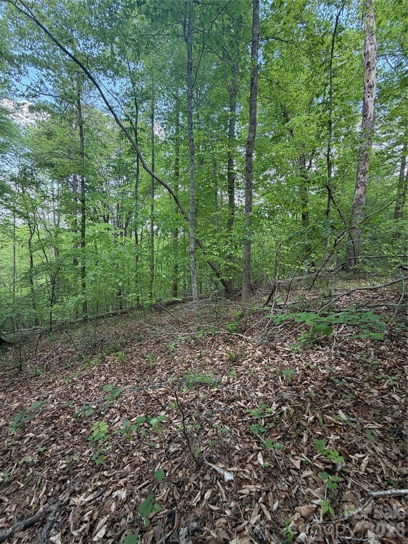 Overstone Dr #284, Rutherfordton, NC 28139